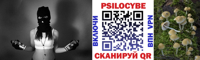дарнет шоп  Новодвинск  Псилоцибиновые грибы ЛСД 