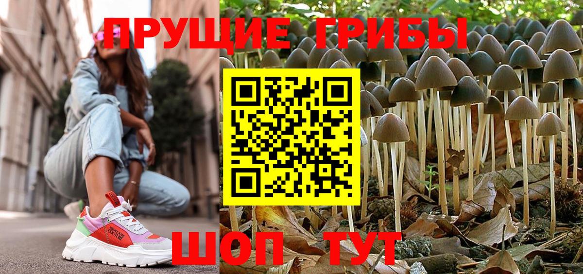 Галлюциногенные грибы прущие грибы  Вход с VPN  Новодвинск 