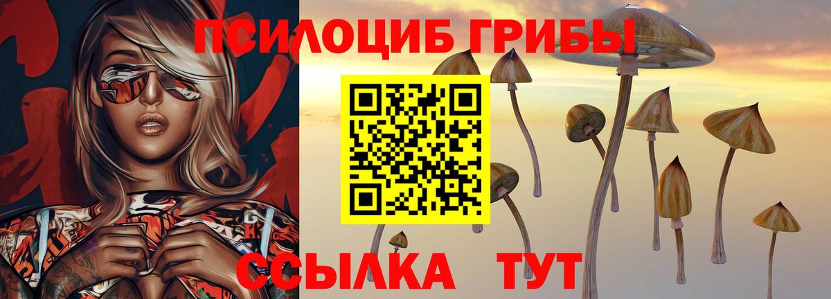Псилоцибиновые грибы Psilocybine cubensis  Вход с VPN  Псилоцибиновые грибы Psilocybine cubensis  наркота  Новодвинск 