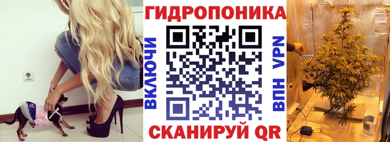 закладка  Новодвинск  ОМГ ОМГ   Шишки марихуана марихуана 